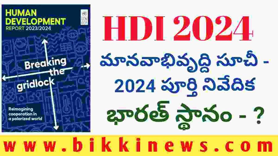 HDI 2024 2024 BIKKI NEWS   Human Development Index 2024 